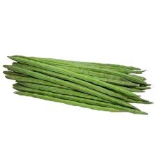 Drumstick Data 1Kg