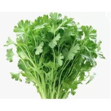 Coriander Leaf Dhaniya Pata 25g 1Unit