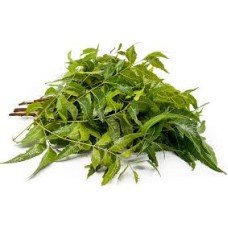 Neem Pata 2 bunches 1Unit